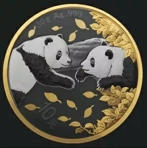 2023 `Cj[Yp_ S[fOGfBV 30g .999 t@CVo[ 10~