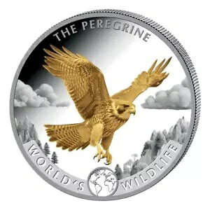 2024 RSE̖쐶nuT S[h Mh 1 IX COA t
