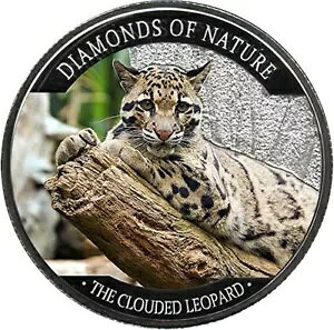 tBW[ 2013 10$ 쐶AR̃_ChAEsE Vo[ v[t RC