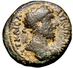 ɑf炵W{AfJ|XBArBVEXEFXB AD161 [}RC