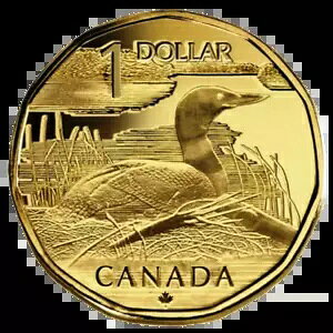 ???? ���ɒ������J�i�_�h�� 1 �h�� �R�C�� ELUSIVE LOONIE�A2004
