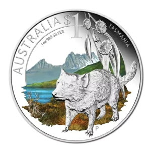 2010 $1 ANDA uXx RC V[ Zu[g I[XgA ^X}jA 1IX Vo[