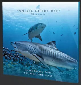 2019 PAMP ^CK[V[N 1 IX .999 t@C Vo[ o[X v[t RC OGP COA