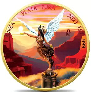 2023 LVR x^ lCeBu AJ GfBV 1 IX Vo[ J[RC