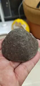 インドネシア スリヴィジャヤ ブリキコイン ミディアム ビッグ 12ct xf RRRR 重さ 383 グラム !!