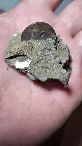 { Voc Duit 1700 C` gqg I_ j[[N yj[jD΃RC