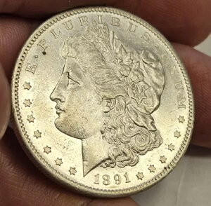 1891-S $1 K Vo[ _[ * PLish Surfaces* fGȃRC!!