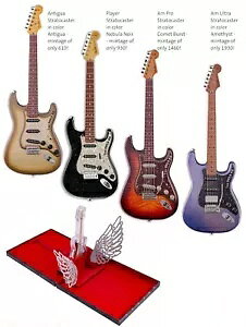 2024 1 IX - tF_[ XggLX^[ M^[ 70 NLO~Xe[ {bNX