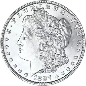 1887 (P) �����K�� �_���[ BU �ʐ^�Q�� R094