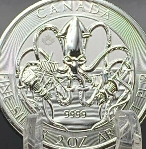 2020 N[P 2 IX .9999 ㎿ Ji_ k̐ V[Y BU