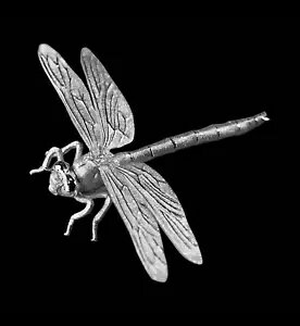 �J�����[�� 3D �g���{ 7 �O���� �V���o�[ �V�F�C�v �v���[�t �R�C�� 2024 �̂� 333 ����