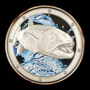 2015 �j�E�G $2 �O���[�g �J�}�X