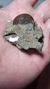 { Voc Duit 1700 C` gqg I_ j[[N yj[jD΃RC