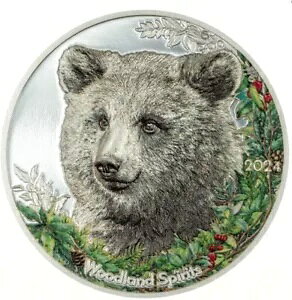 2024 SA Ebhh Xsbc xA 1 IX Vo[ J[ v[t RC