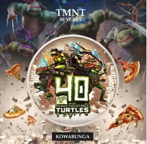 2024 p[XǑn 40 NLO TMNT uR[uKv 1 IX 399 