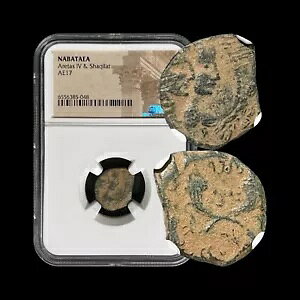 �i�o�e�A�B 16�A? 17 - NGC �F�� - Aretas IV�A�V���L���[�g�A�R�[�k�R�s�A�A�A������ 48