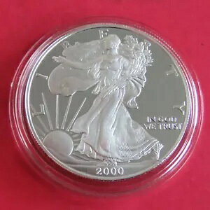 USA 2000 P 1 h 1oz .999 Vo[ v[t C[O