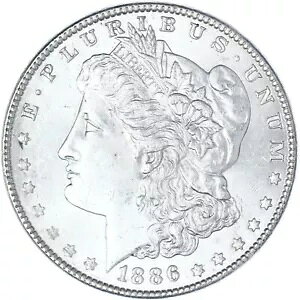 1886 (P) �����K�� �_���[ BU �ʐ^�Q�� R075