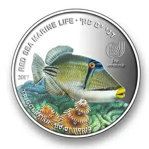 CXG pI 2016 J[ .999 Vo[ KJnM 1 IX RC ԊC̋