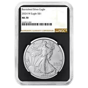 2024-W $1 1 IX o[jbV AJ Vo[ C[O NGC MS70 uE x g RA