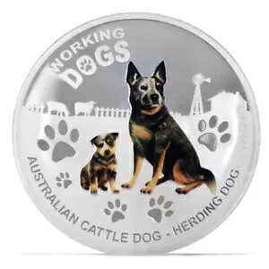 co 2011 [LO hbO I[XgA Lg hbO - q{ Vo[ RC 1 IX