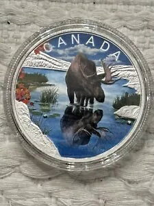 2024 Ji_ ChCt tNVY wWJ 1 IX Vo[ J[ v[t RC