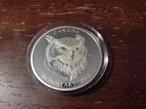 2018 �J�i�_ $30 .9999 ����R�C�� �[���^���O�� �A�[�g: �A�����J���V�~�~�Y�N