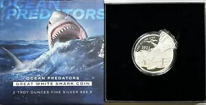 2021 \ 2 IX .999 Vo[ I[V vf^[Y RC zIWU