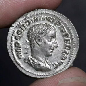 wNX fiEX Ñネ[}鍑  ɍ 241AD SfBA