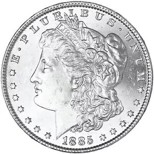 1885 (P) �����K�� �_���[ BU �ʐ^�Q�� R507