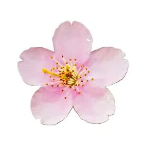 2021 $2 jEG v[tʐF 1 IX