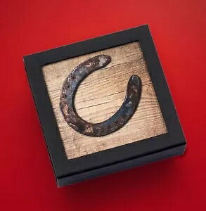 2021 �p���I ���b�L�[ �z�[�X�V���[ �E���g�� �n�C �����[�t �n���` 1 �I���X �V���o�[ #7334