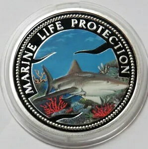 1999 Vo[pI $5 CmیTh~J[RC JvZ