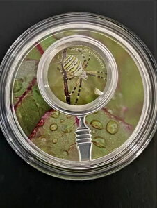 wV[NbgK[fx - Xv - XpC_[ 2021 ዾtRC