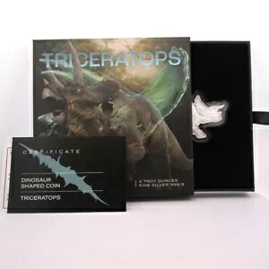 2022 \ 2IX Vo[ gPgvX o[X v[t RC PAMP