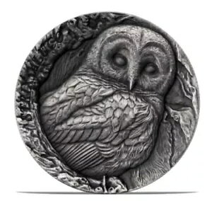 2023 �T���A-�c���[ �P�C�u �V���[�Y-�D�F�t�N���E 2 �h�����-�E���g�� �n�C �����[�t�A1 �I���X