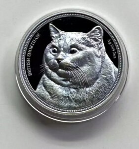 2018 jEG 2 IX \bh Vo[ RC - ueBbV V[gwA Lbg