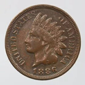 未加工 1886 インディアン ヘッド 1C 未認定、グレードなし、米国造幣局 スモール セント ペニー コイン