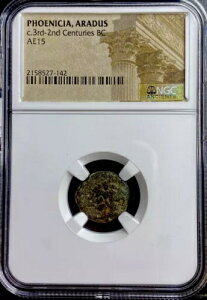 ÑtFjLA RC 174BC-141BC NGC AhDXs [EX K[D { A