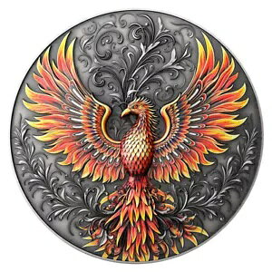 2023 tFjbNX 1 IX nC[t Vo[ AeB[NH T&S RC 1000 