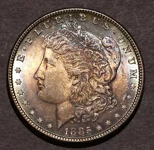 1885 Morgan $�AChoice + BU... ��΂̕\�ʂƂ͌����܂���B�_�[�N�����ǃS�[�W���X�ȃg�[���B