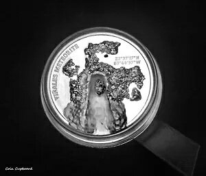 2020 - NbN rj[X覐΃CpNg 1 IX Vo[ v[t RCAjЕt