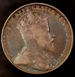 1904 Nj[t@hh 50 Zgd݉pGh[h 7 ̃g[!!bg AA-4659