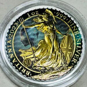 �u���^�j�A��� 2023 �p�� AI �f�U�C�� �J���[�� COA�t��