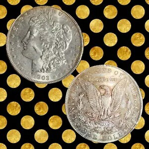 1903 ���[�K�� �V���o�[ �_���[ �f�G�ȐF�����̗��ʁB���Ђ�T5405