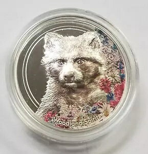 2020 S 500 gObO 999  |J[ꂽX̐^kL