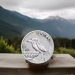 2022 P I[XgA ???? v`iCJZ~ 1/10 IX $15 - BU JvZ