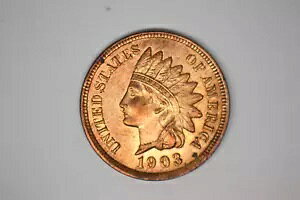 1903 �C���f�B�A�� �w�b�h �Z���^�[ - �j�[�X ���b�h BU�B�v���e�B�R�C��!!