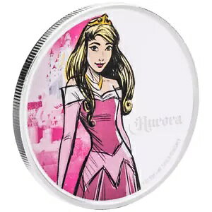 X̔ |I[? fBYj[? 2024 - jEG - P[X - 1 IX v[t-