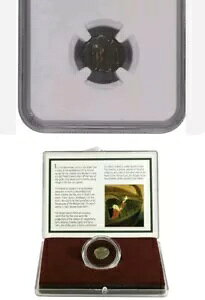 RC2ZbgFNGCXu{bNX̃GEhNinLRCj